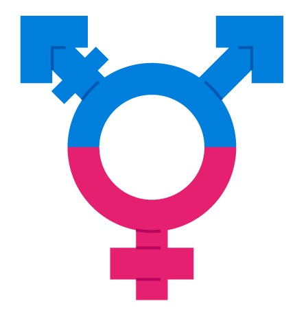 Trans Escorts